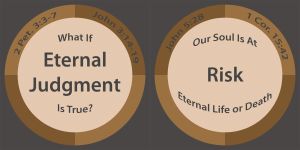 Judgment Risk