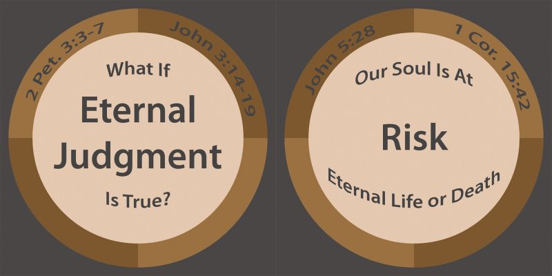 File:Chip-draft-risk.jpg