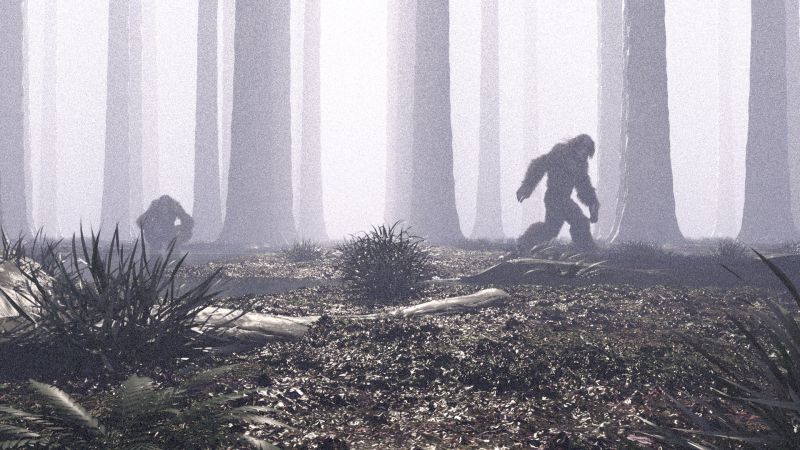 File:Paranormal-bigfoot-forest.jpg