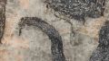 Gneiss