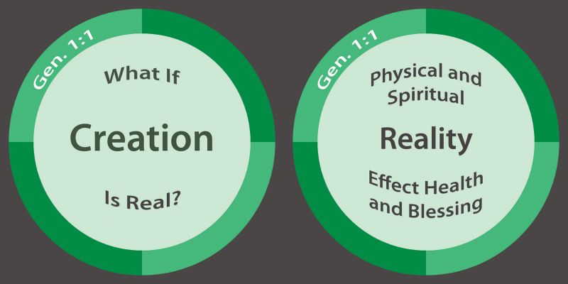 File:Chip-draft-reality.jpg