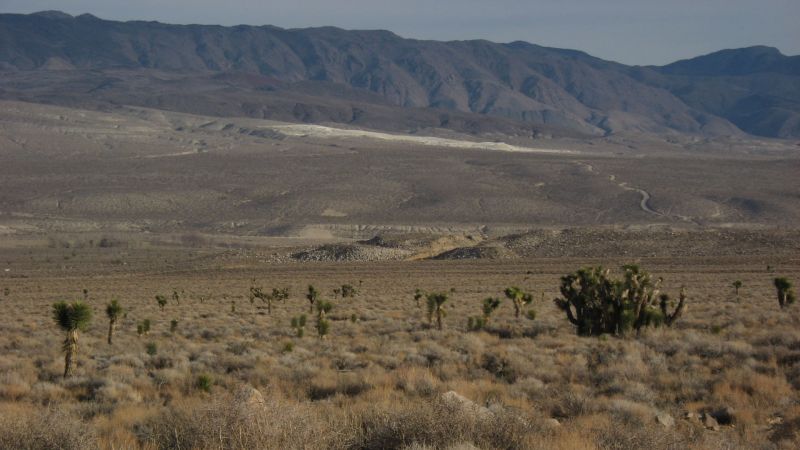 File:Land-desert-joshuatree.jpg