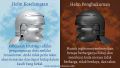 Helmets