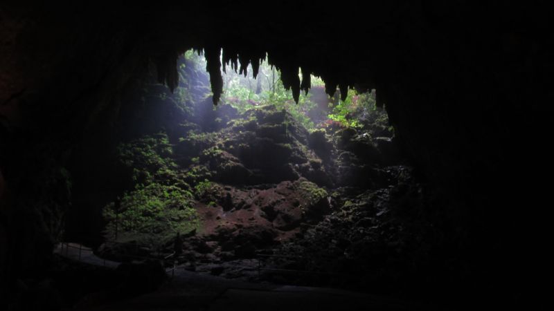 File:Land-cueva-camuy.jpg